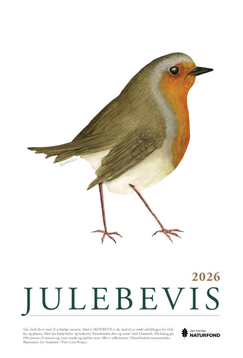 Jul