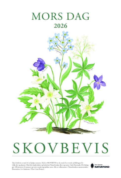 Mors Dag og Fars Dag